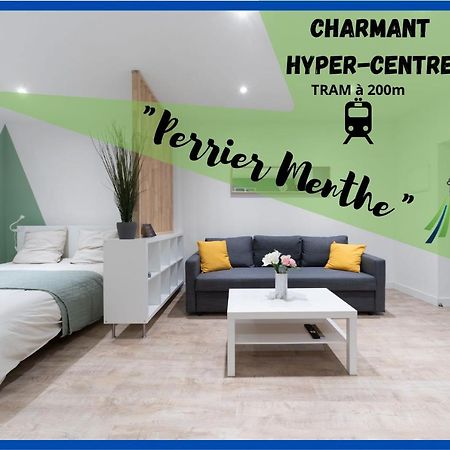 Apartament ※Perrier Menthe※ Hyper-Centre Et Tranquillite Clermont-Ferrand Zewnętrze zdjęcie