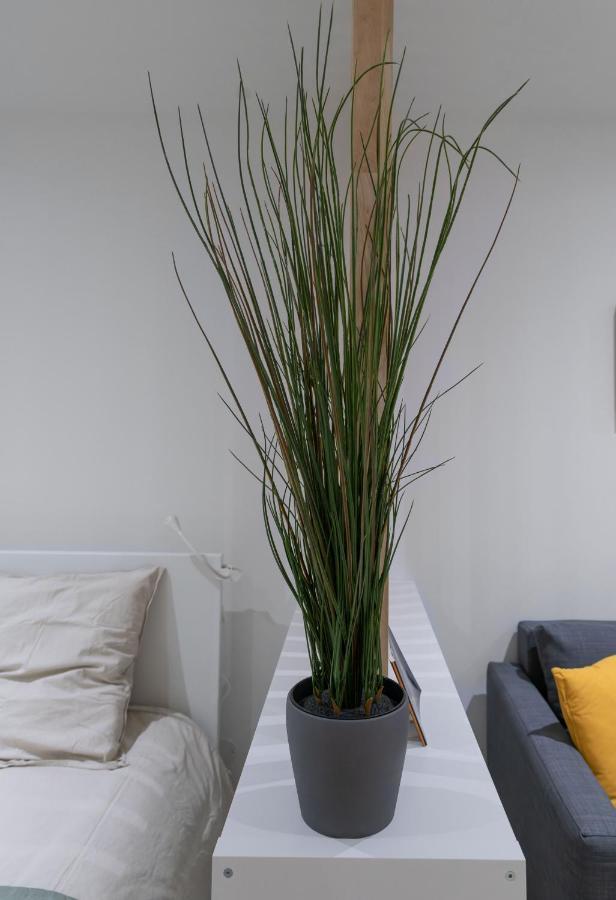 Apartament ※Perrier Menthe※ Hyper-Centre Et Tranquillite Clermont-Ferrand Zewnętrze zdjęcie